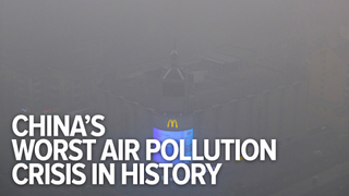 What Life Is Like in Beijing During China's Worst Pollution Crisis Ever